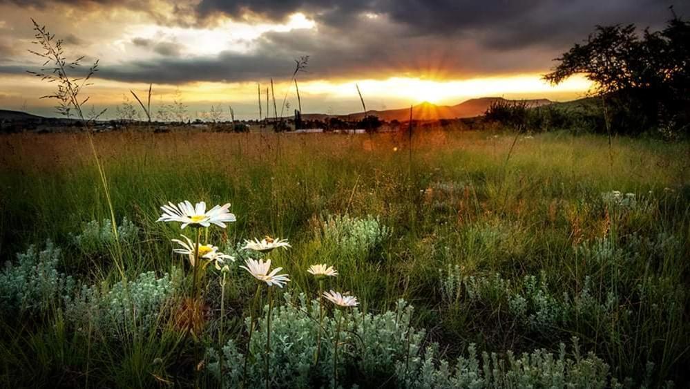 Wetlands Country House & Sheds Wakkerstroom Εξωτερικό φωτογραφία