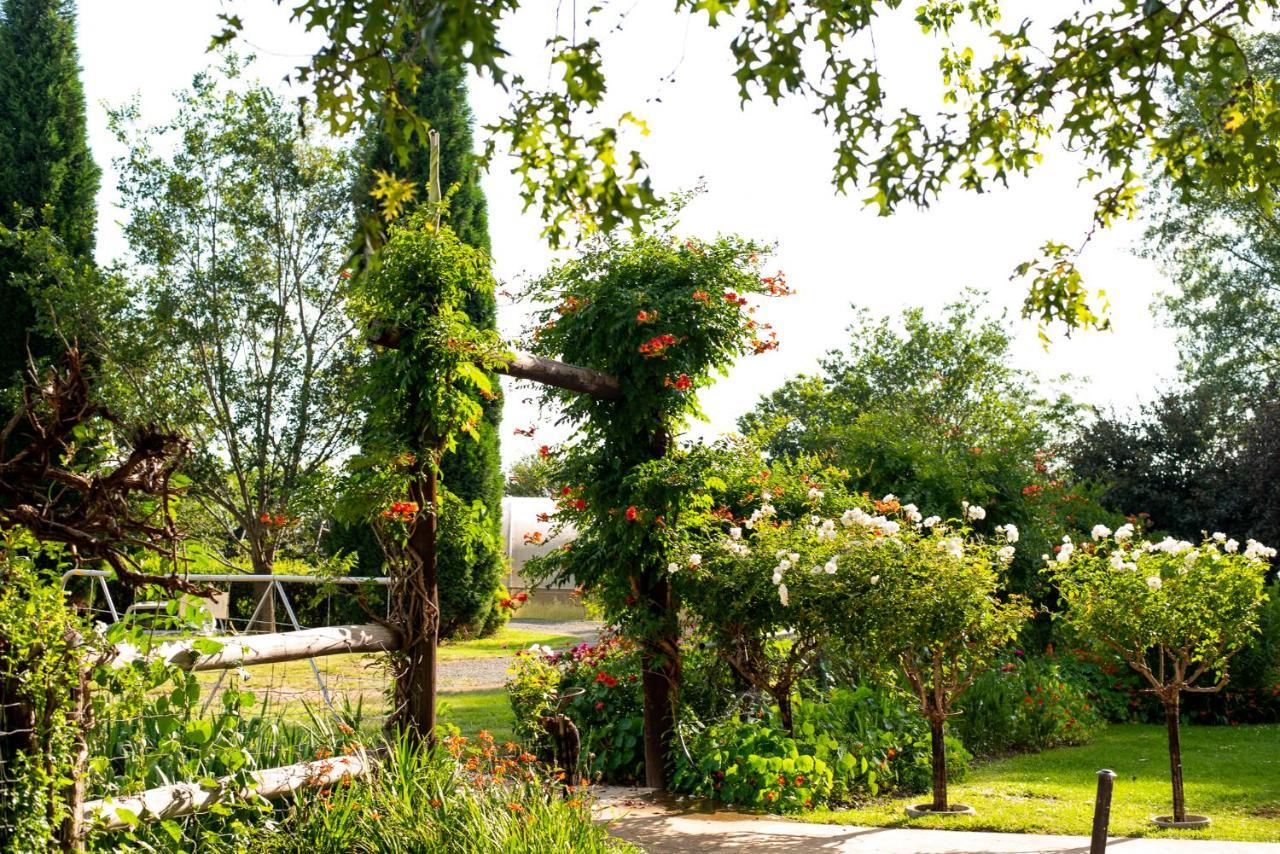 Wetlands Country House & Sheds Wakkerstroom Εξωτερικό φωτογραφία